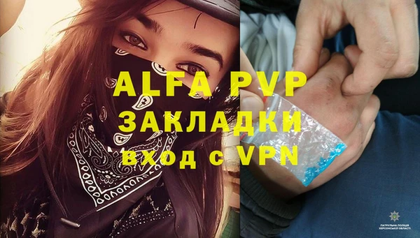 молекула духа Зеленодольск