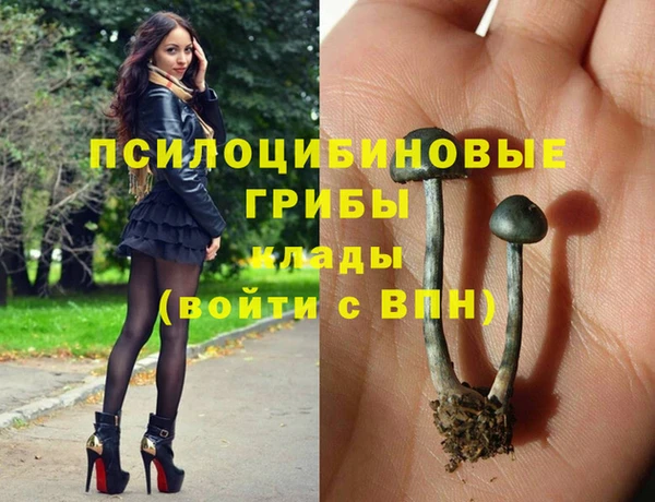 спайс Зеленокумск