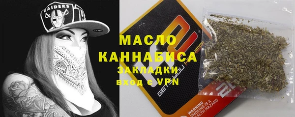 молекула духа Зеленодольск