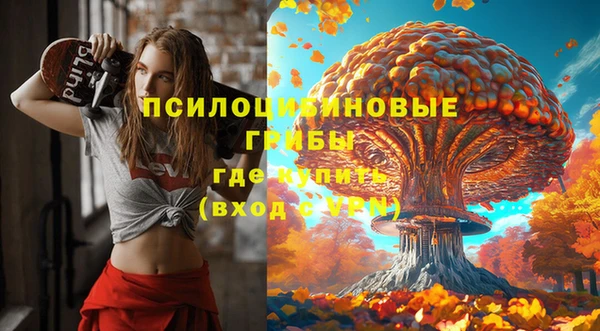 дурь Саяногорск