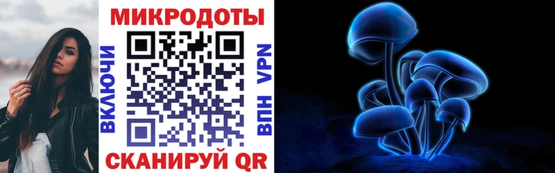 Псилоцибиновые грибы Cubensis  Зубцов 